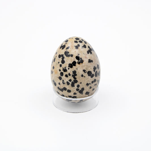 Dalmatian Jasper - Egg