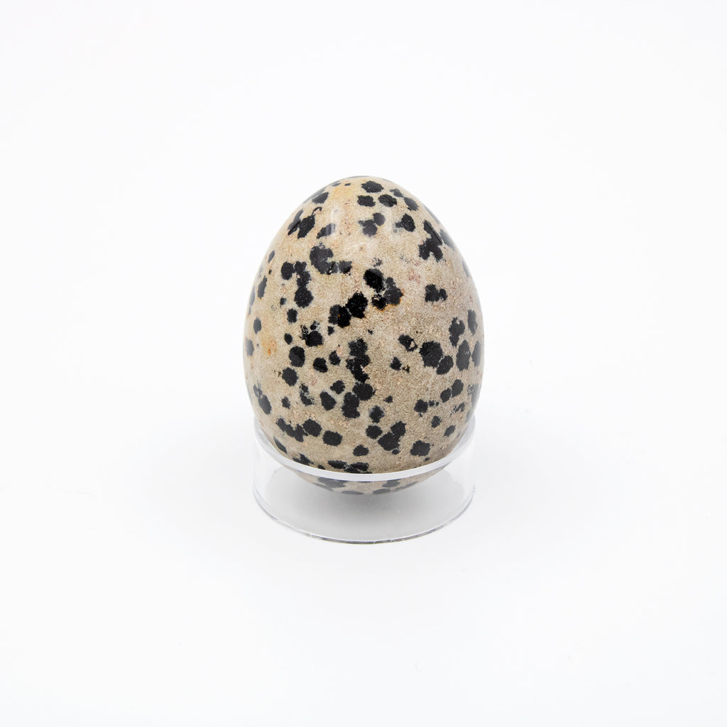 Dalmatian Jasper Egg
