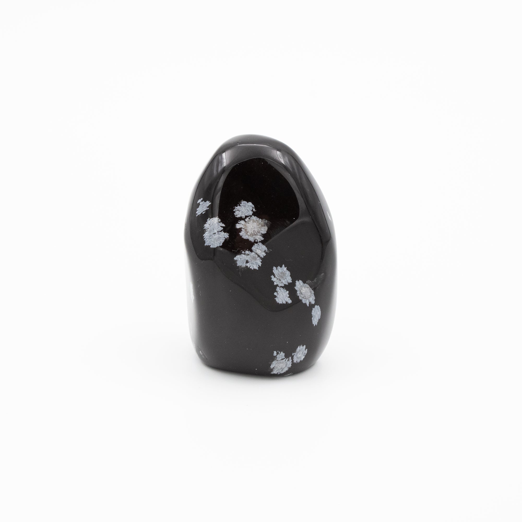 Obsidian Snowflake Freeform